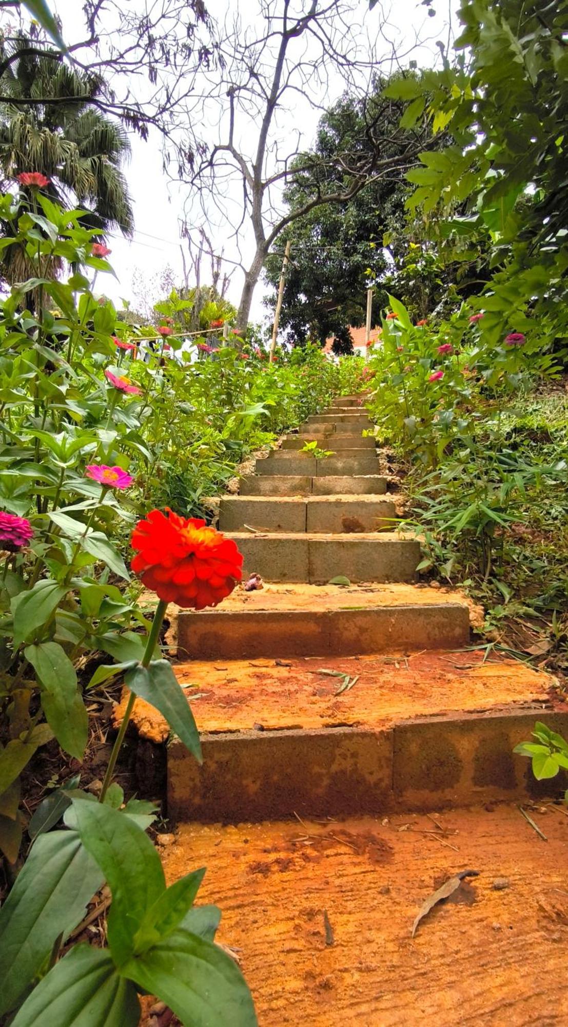 Peamoo Homestay Chom Thong Exterior foto